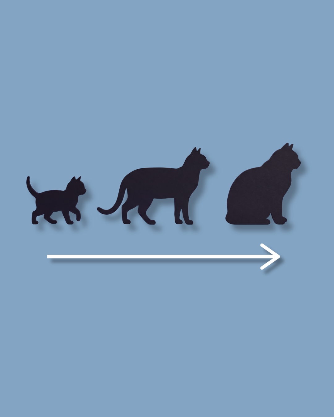 Recipe Process visual