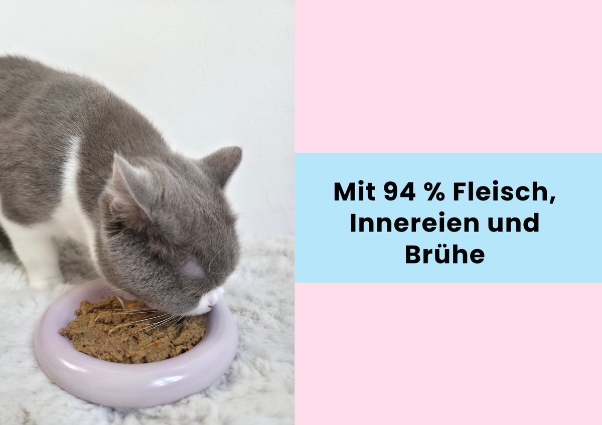 Probierbox Harmonie – 12 Beutel à 100 g