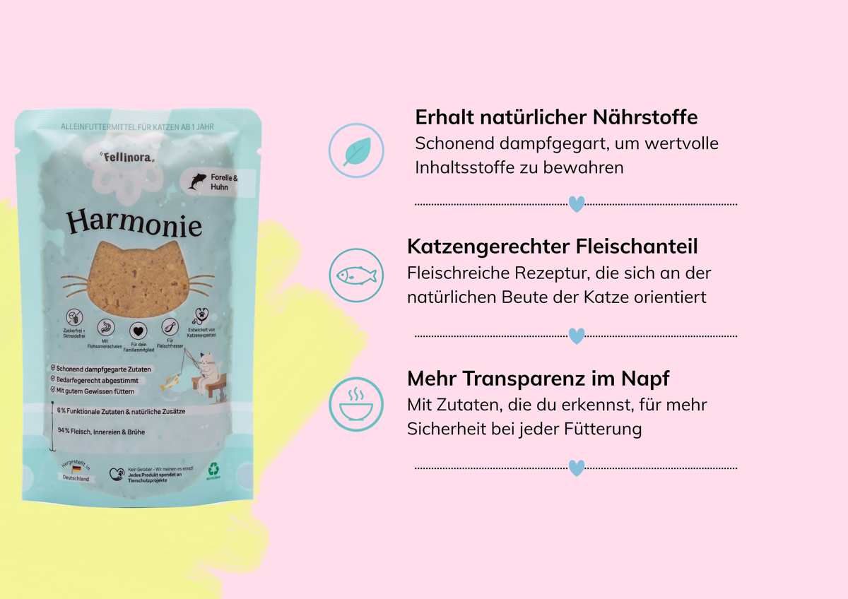 Probierbox Harmonie – 12 Beutel à 100 g