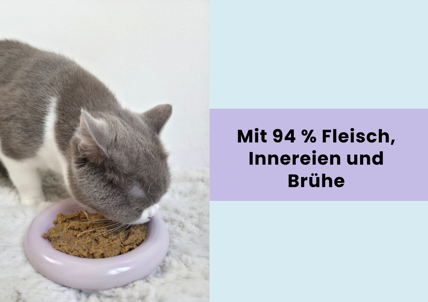 Probierbox Katzenliebe – 12 Beutel à 100 g