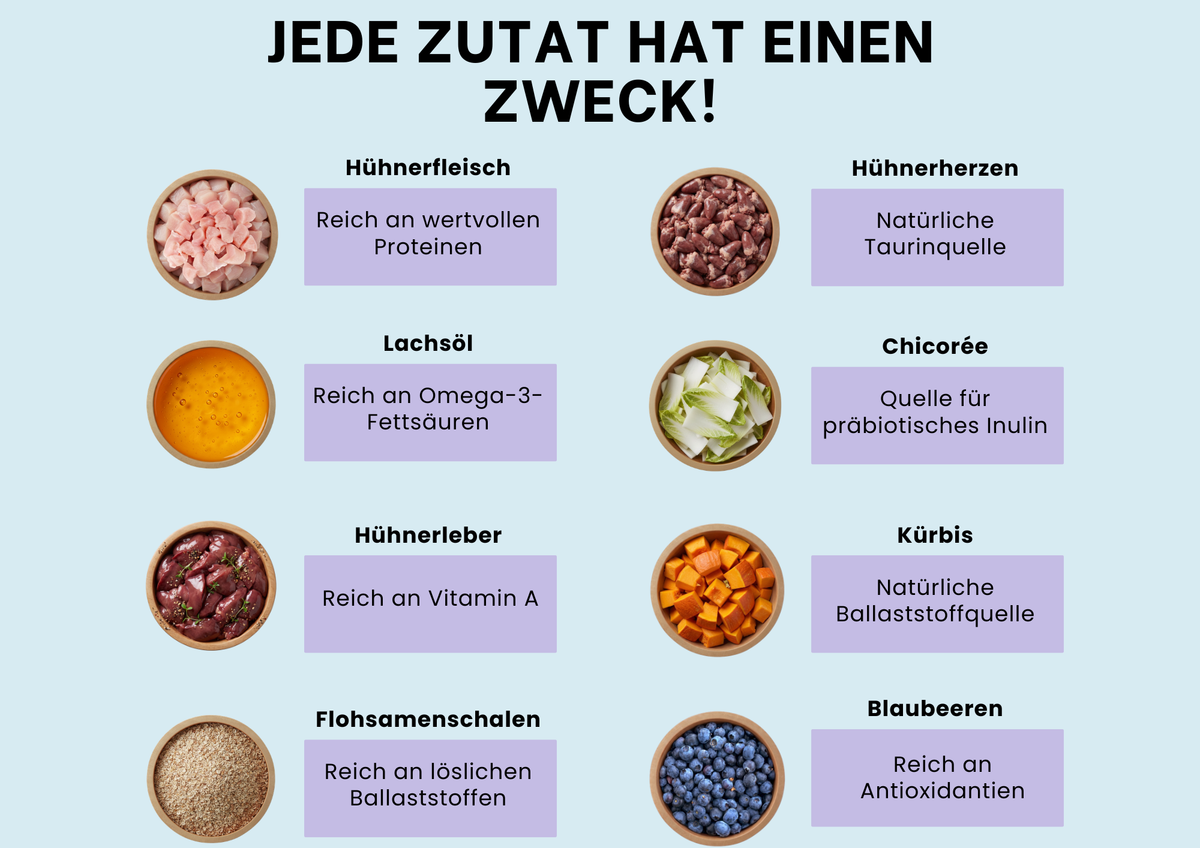 Probierbox Katzenliebe – 12 Beutel à 100 g