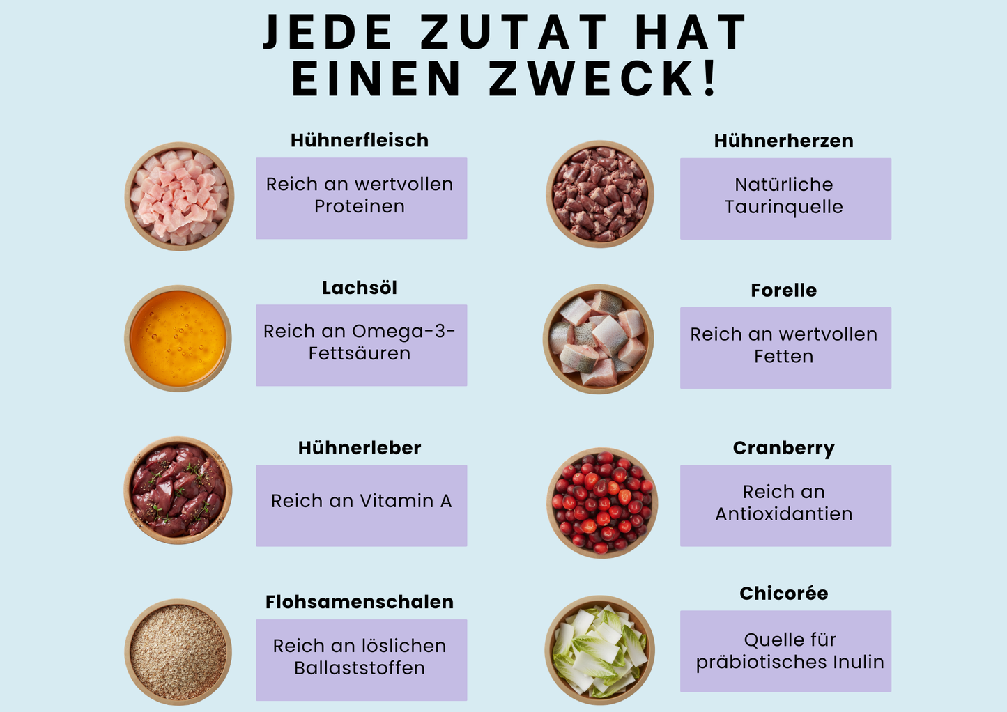 Probierbox Lieblingsduo – 12 Beutel à 100 g mit Katzenliebe und Harmonie