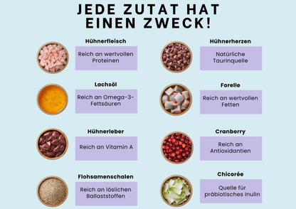 Probierbox Lieblingsduo – 12 Beutel à 100 g mit Katzenliebe und Harmonie