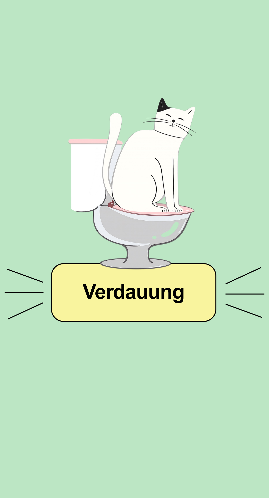 Fellinora Produkt