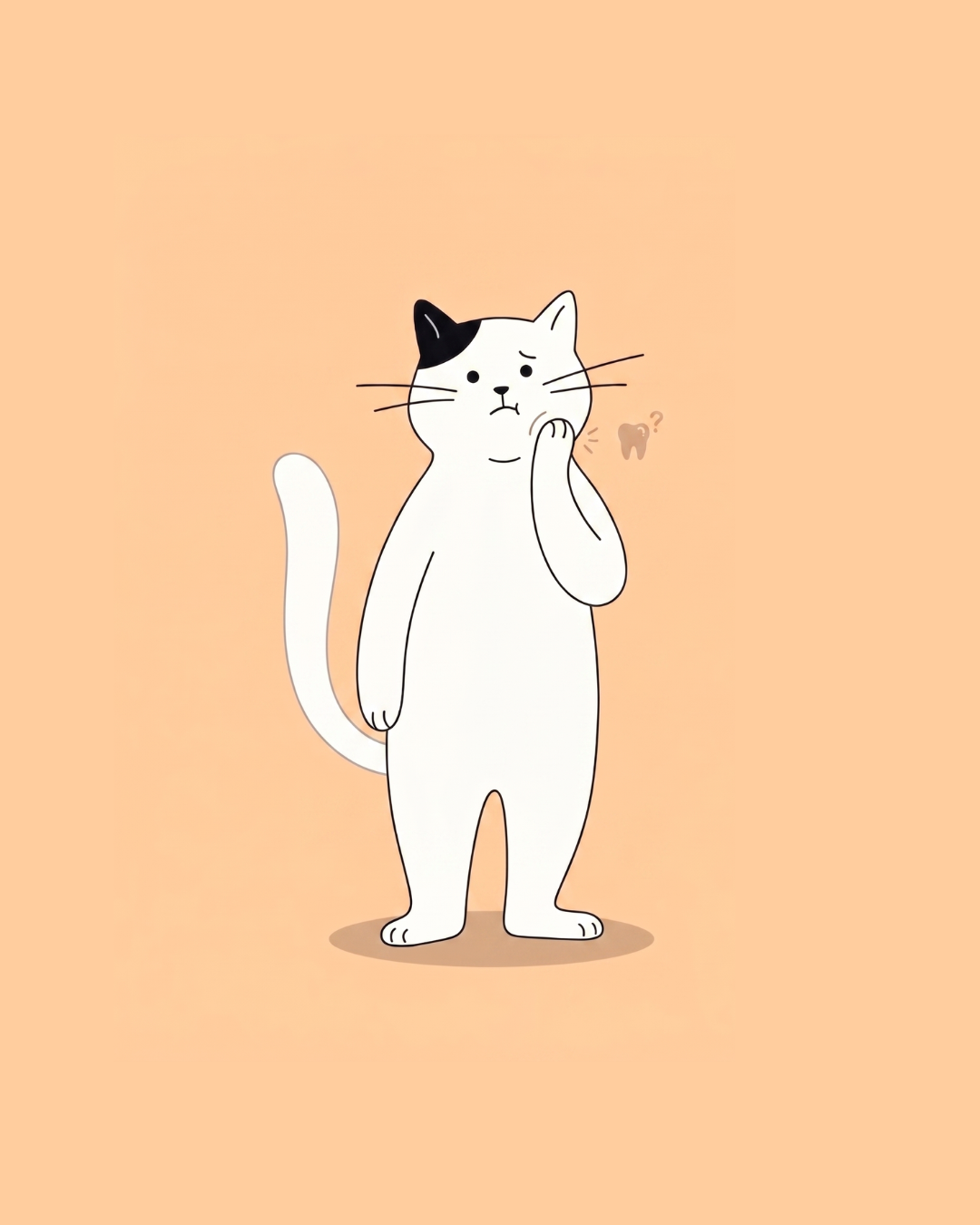 Gesunde Katze mit Fellinora Beratung